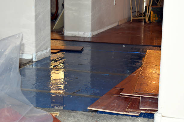 Professional Sewage Cleanup technician working in Burlington, IA